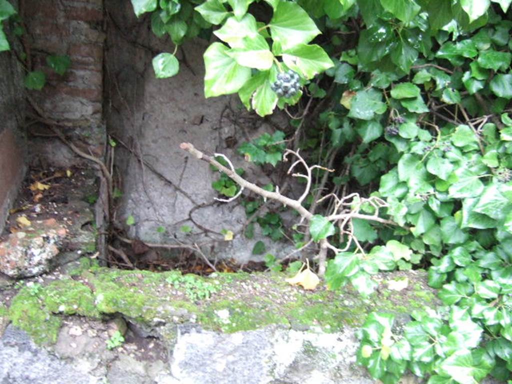 VII.4.57 Pompeii.  December 2005.