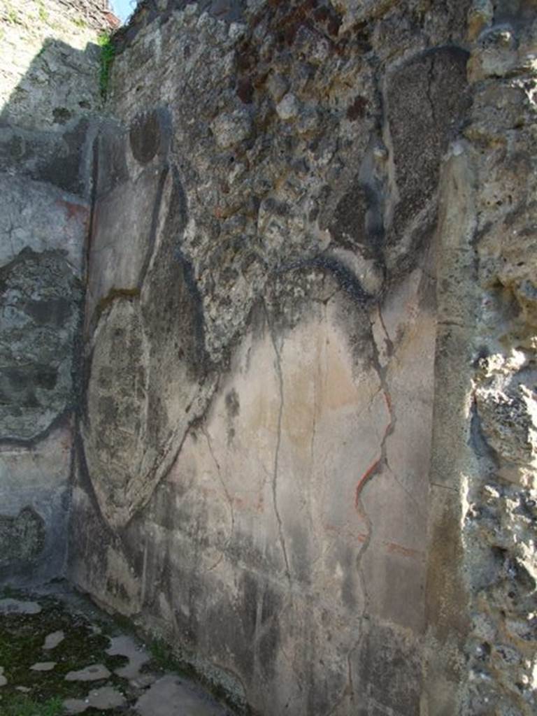 VII.4.31 Pompeii.  March 2009. Room 31.  South wall.
