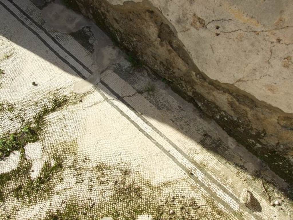 VII.4.31 Pompeii.  March 2009.  Room 31.  Detail of mosaic floor.