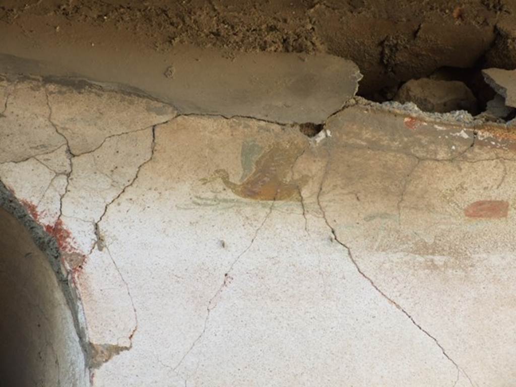 VII.4.31 Pompeii.  March 2009. Room 33. Remains of painted decoration of a bird on North wall.