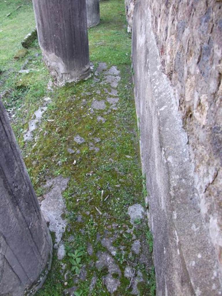 VII.4.31 Pompeii.  March 2009.  Looking south along West Portico. The rooms 39 to 44 were built into the West Portico at some time after the Peristyle was built.  This only left a small corridor between the walls of the rooms and the columns, under the Portico. 
