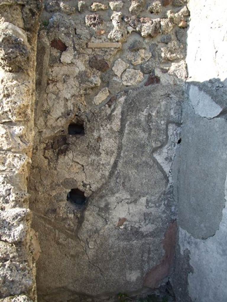 VII.4.31 Pompeii.  March 2009.  Room 45.  North wall.