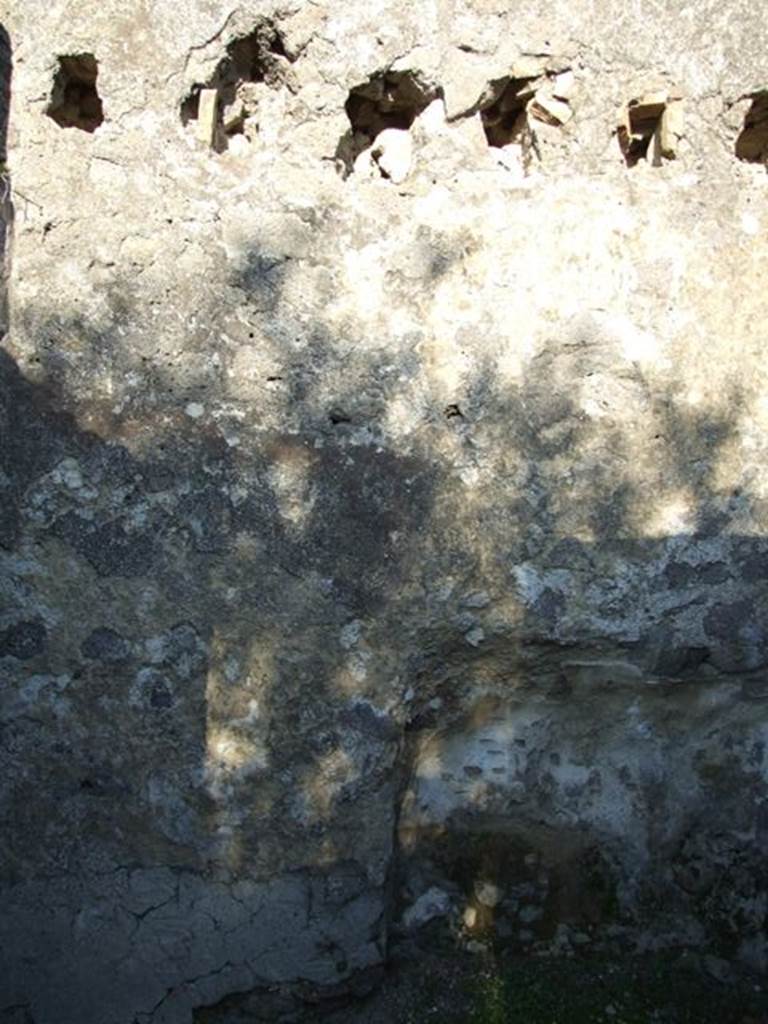 VII.4.31 Pompeii.  March 2009.  Room 46.  East wall.