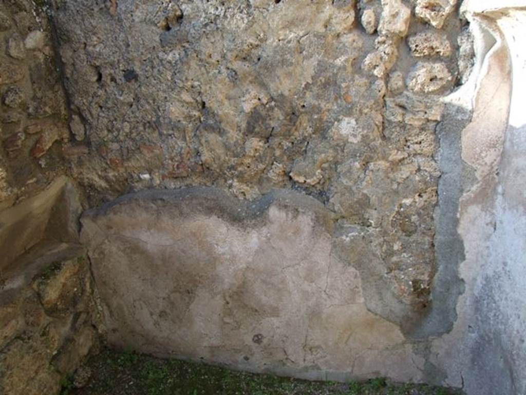 VII.4.31 Pompeii.  March 2009.  Room 47.  North wall.