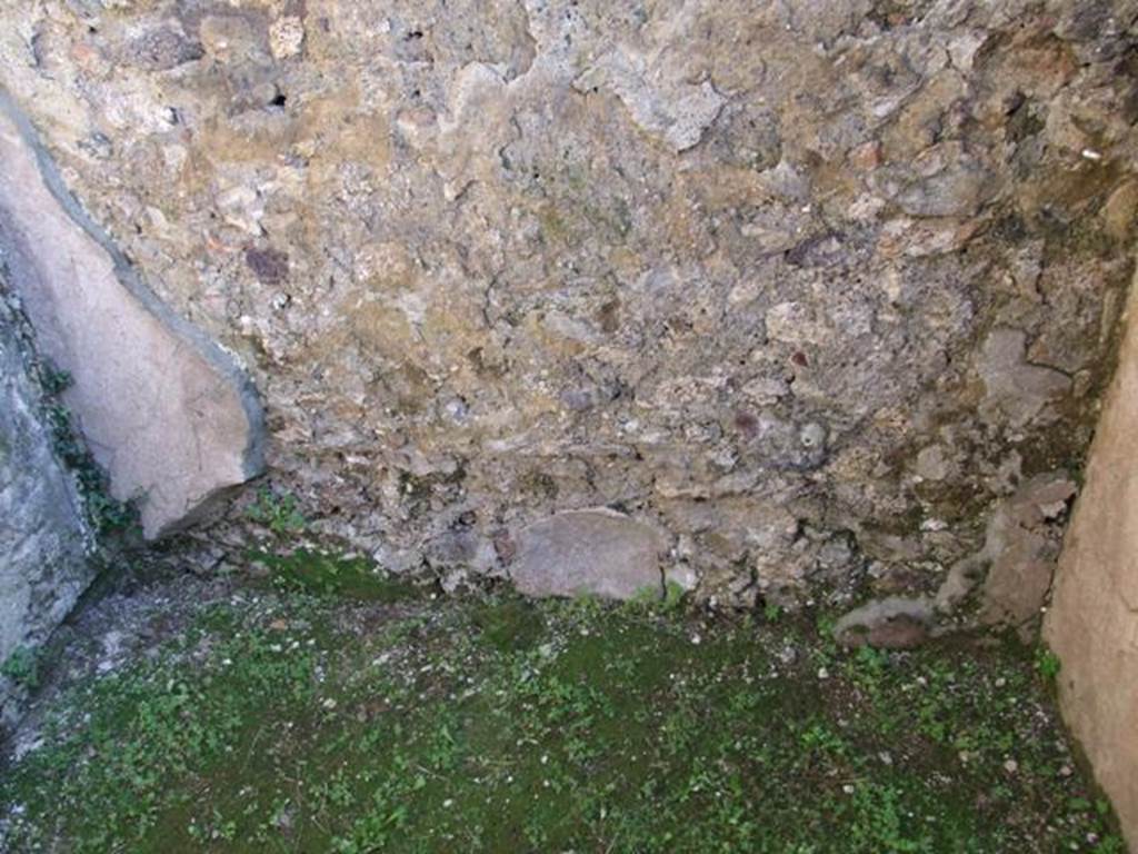 VII.4.31 Pompeii.  March 2009.  Room 47.  South wall.
