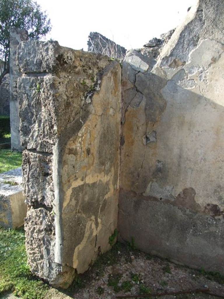 VII.4.31 Pompeii.  March 2009.  Room 48.  North west corner.