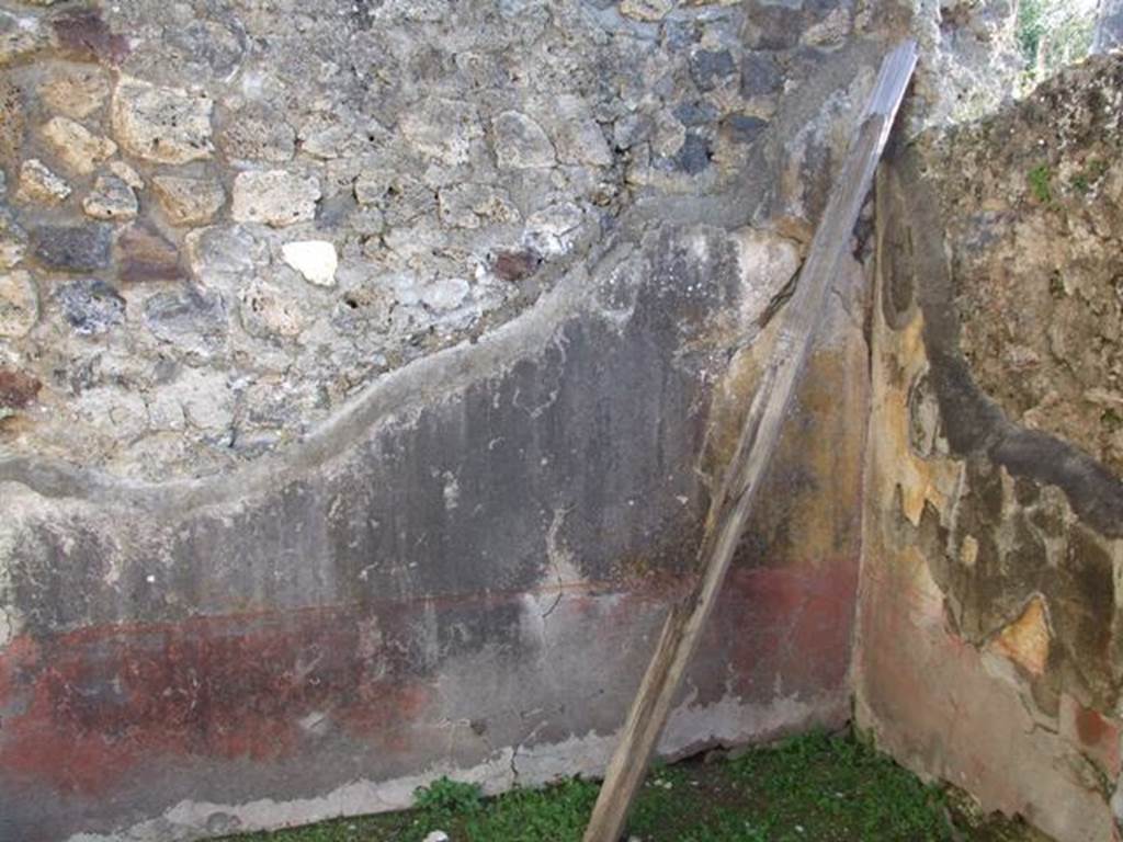 VII.4.31 Pompeii.  March 2009.  Room 48.  South wall.

