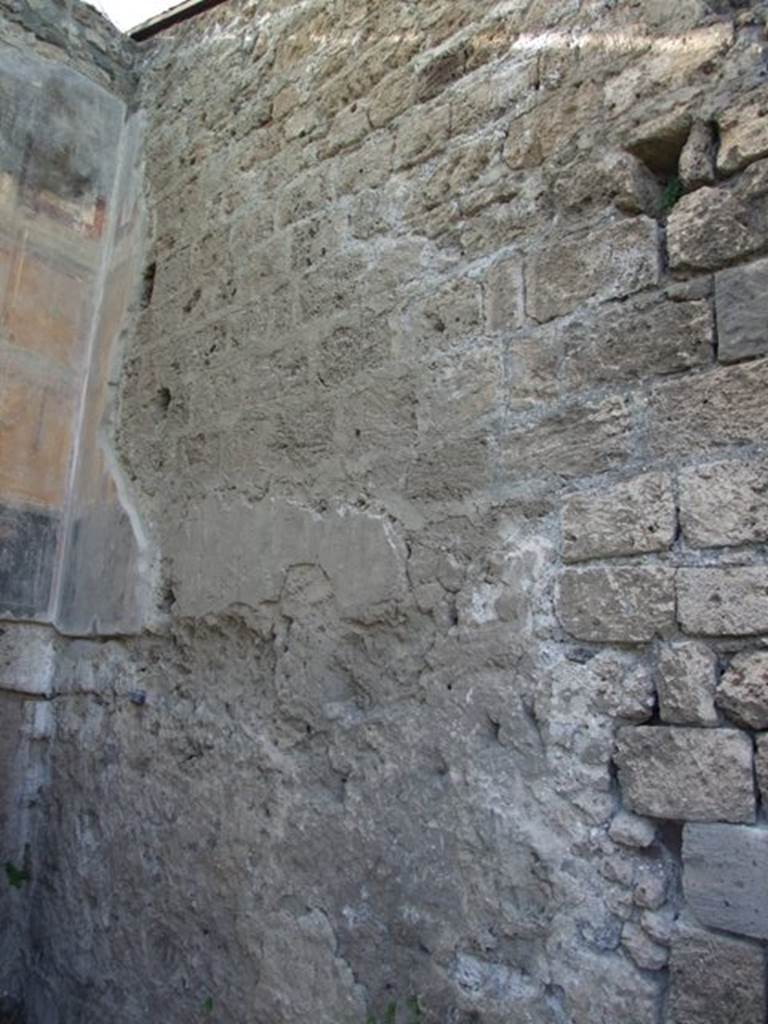 VII.4.31 Pompeii.  March 2009.  Room 6. Ala.  North wall.