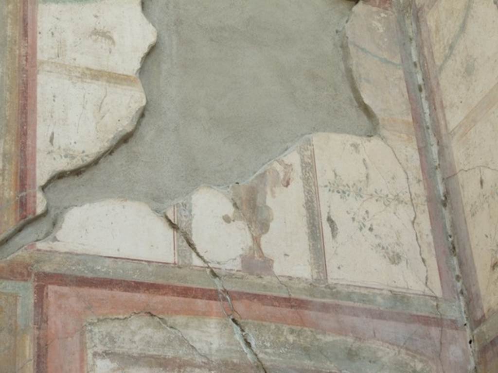 VII.4.31 Pompeii.  March 2009.   Room 12.  Oecus.  South wall