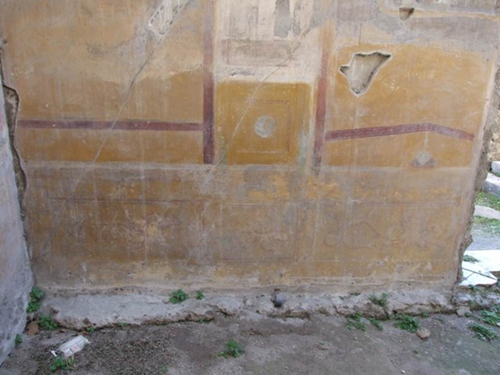 VII.4.31 Pompeii.  March 2009.  Room 12. Oecus.  Lower West wall.