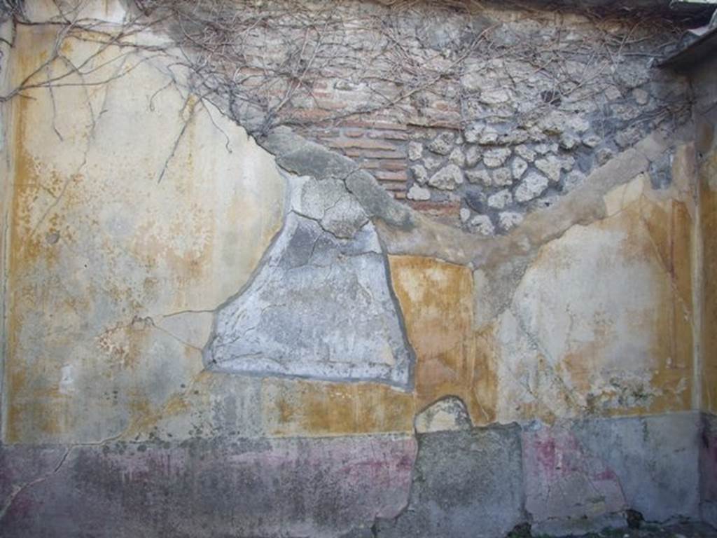 VII.4.31 Pompeii.  March 2009.  Room 15.  West wall.