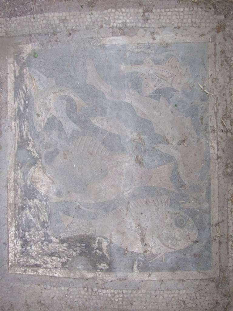 200903%20Card%2014%20514