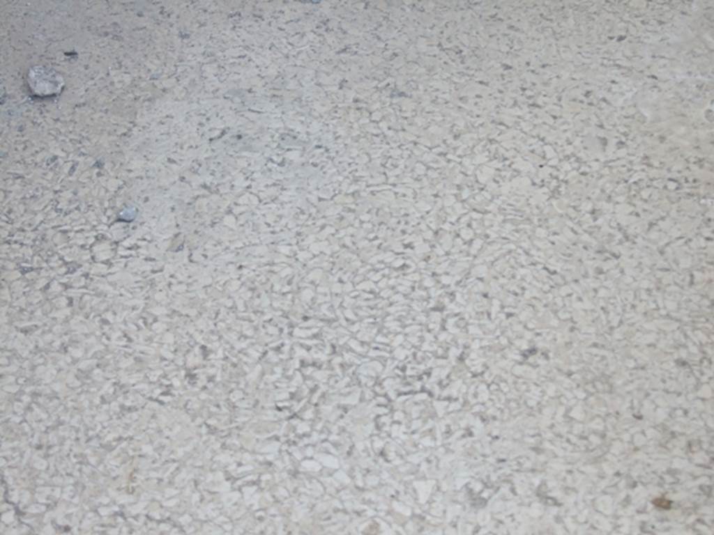 VII.4.31 Pompeii.  March 2009.  Room 18.  Exedra floor.   Tightly packed chips of white marble.