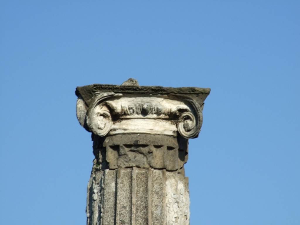 VII.4.31 Pompeii.  March 2009.  Detail of column in Middle Peristyle.