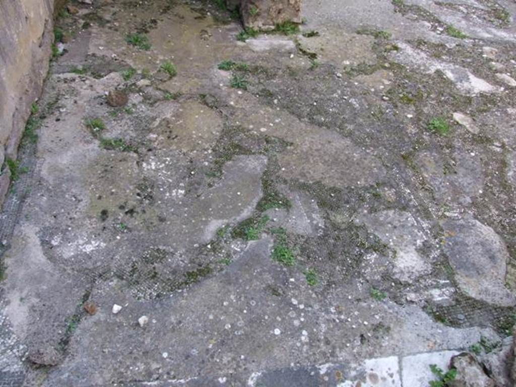 VII.4.31 Pompeii.  March 2009.  Rooms  19 and 20.  Remains of mosaic floor.