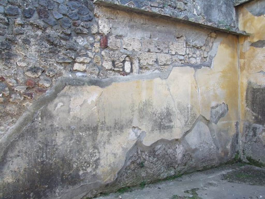 VII.4.31 Pompeii.  March 2009.  Room 20.  Oecus.  South wall.