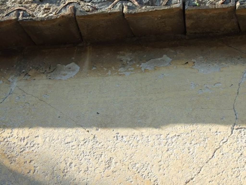 VII.4.31 Pompeii. March 2009. Room 20, remains of decorative border on east wall of oecus.