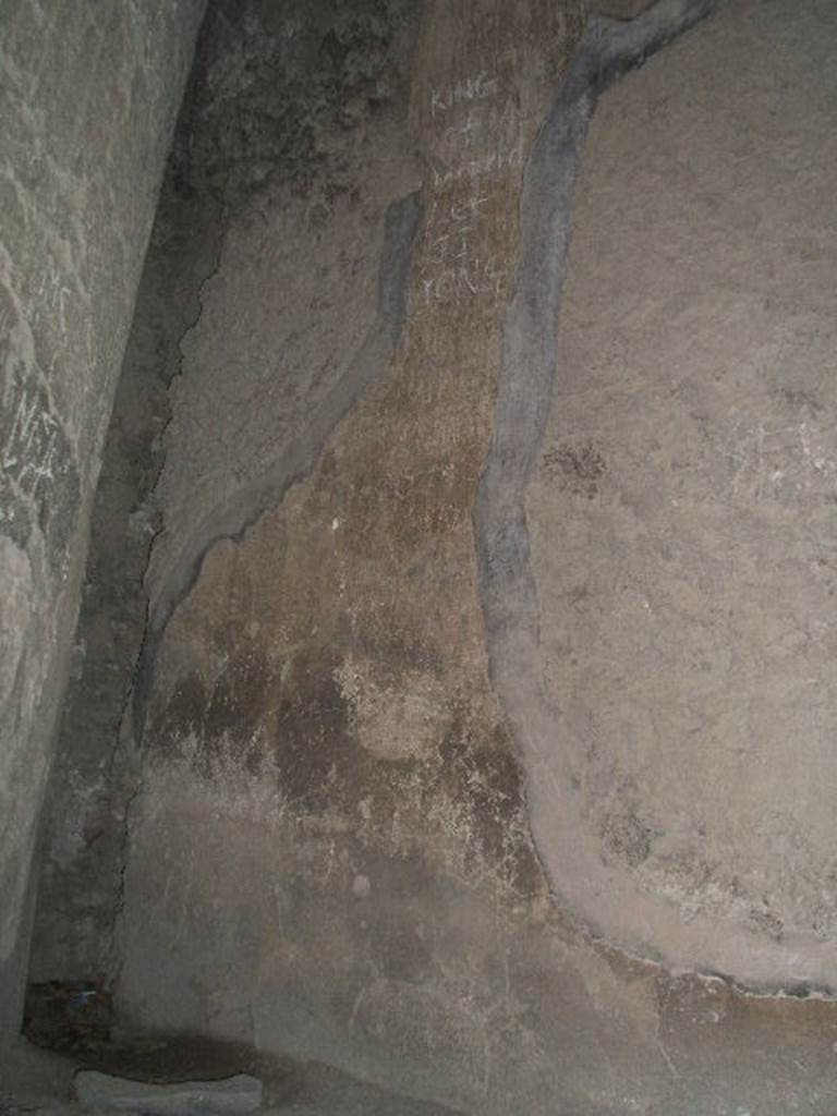 VII.4.37 Pompeii. May 2006. North wall.