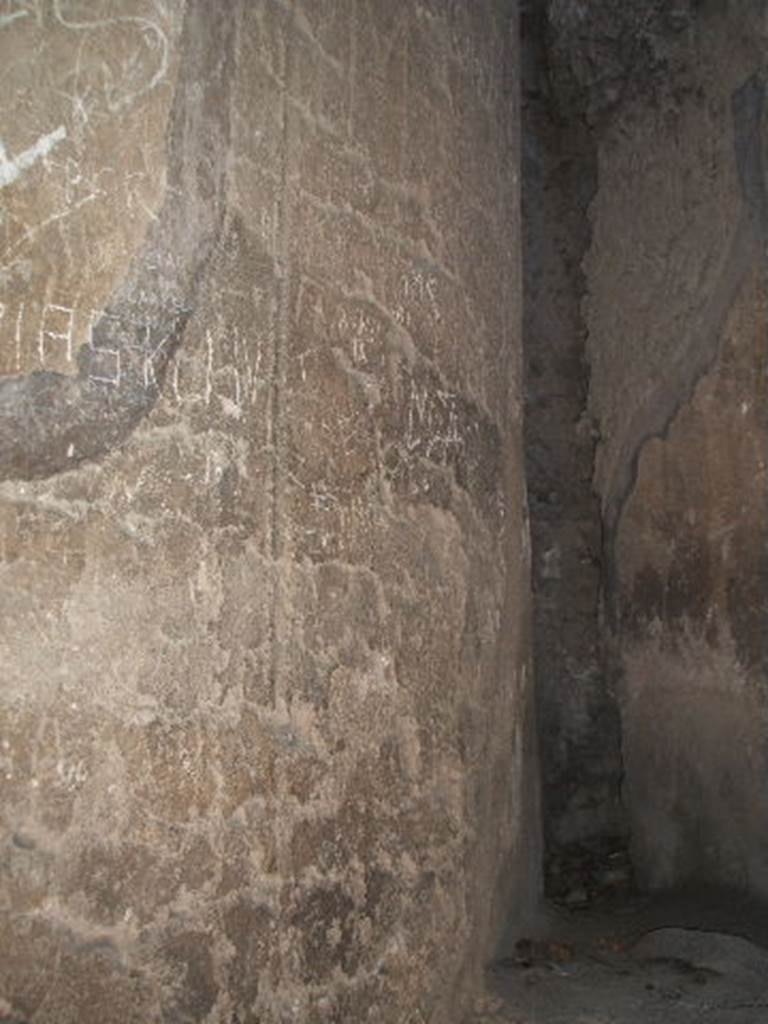 VII.4.37 Pompeii. May 2006. West curved wall formed from rear of large apsed room on east side of peristyle. 
