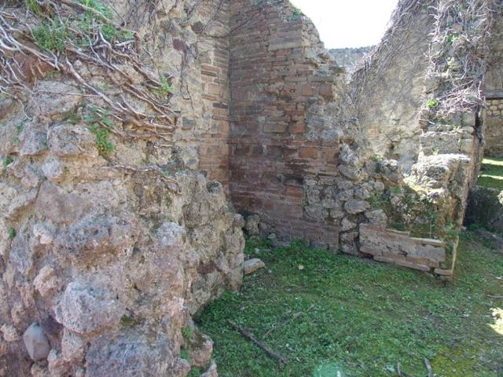 VII.4.40 Pompeii. March 2009.  South side from entrance. 