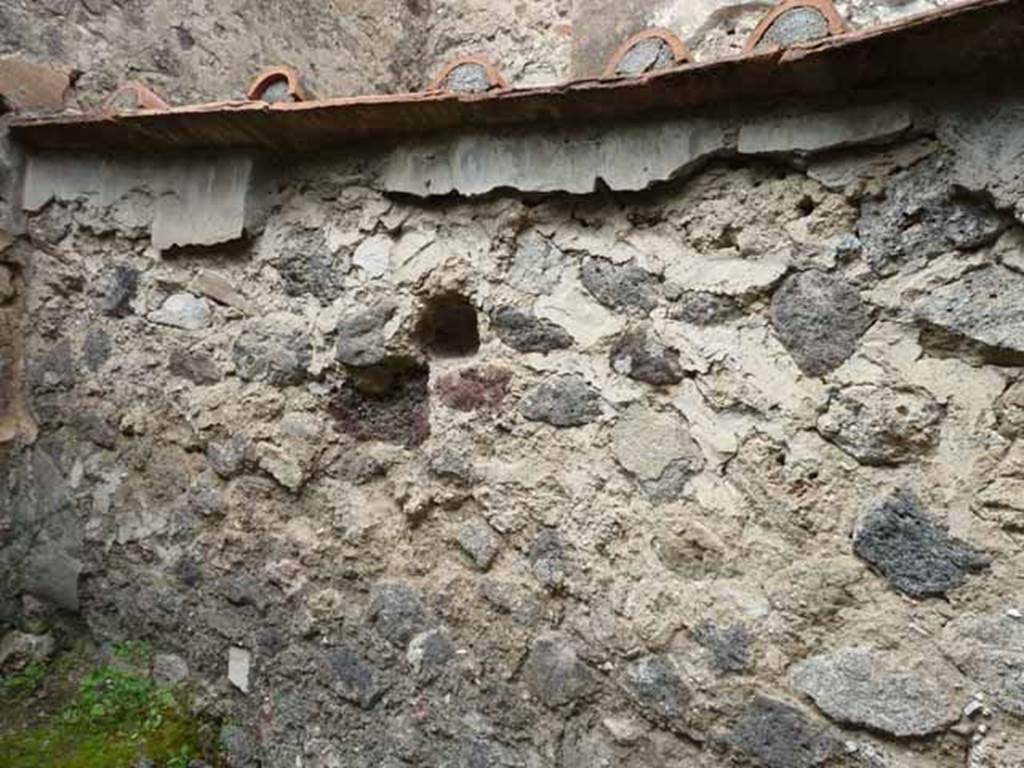 VII.4.42 Pompeii. May 2010. North wall.