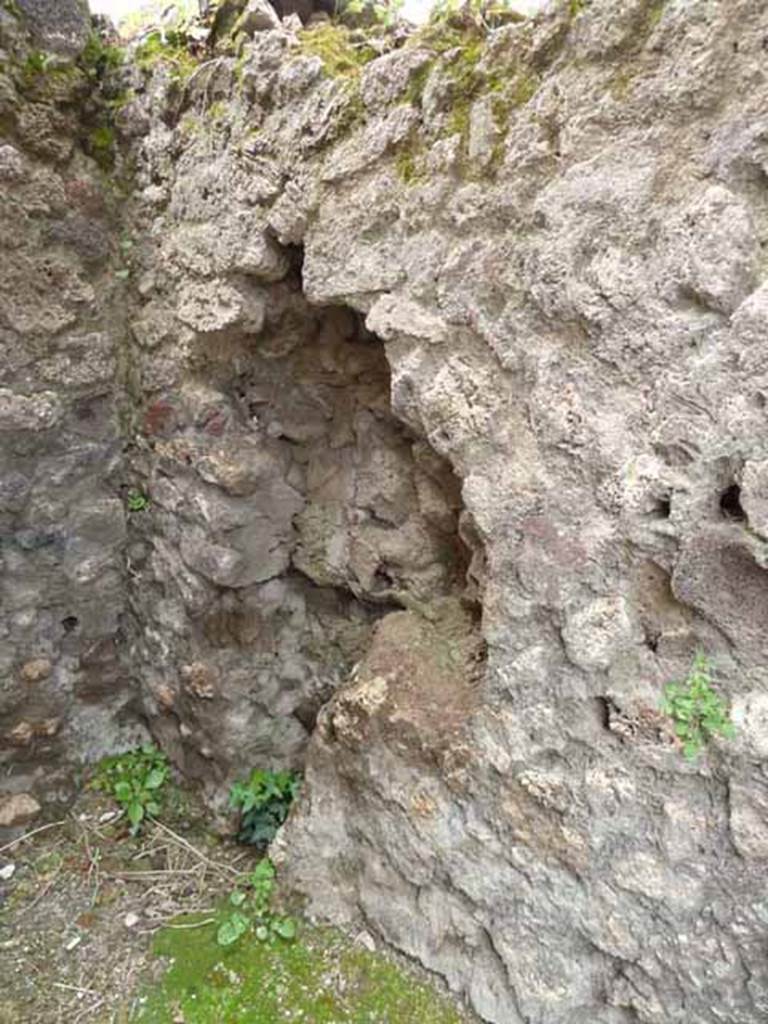 VII.4.44 Pompeii. May 2010. North wall.