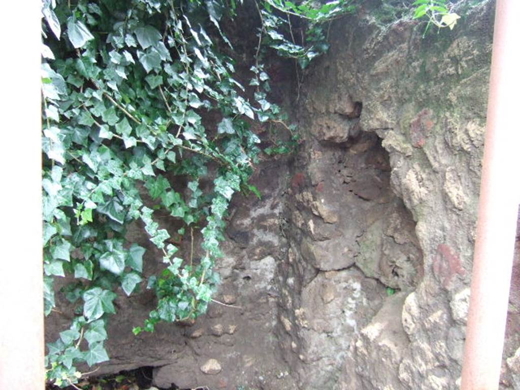 VII.4.44 Pompeii. December 2005.  North wall.