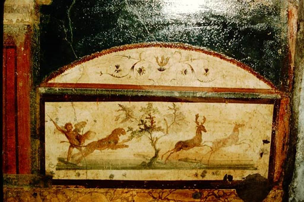 VII.4.48 Pompeii. 1957. Room 11, detail from west wall of tablinum.  Photo by Stanley A. Jashemski.
Source: The Wilhelmina and Stanley A. Jashemski archive in the University of Maryland Library, Special Collections (See collection page) and made available under the Creative Commons Attribution-Non Commercial License v.4. See Licence and use details.
J57f0350
