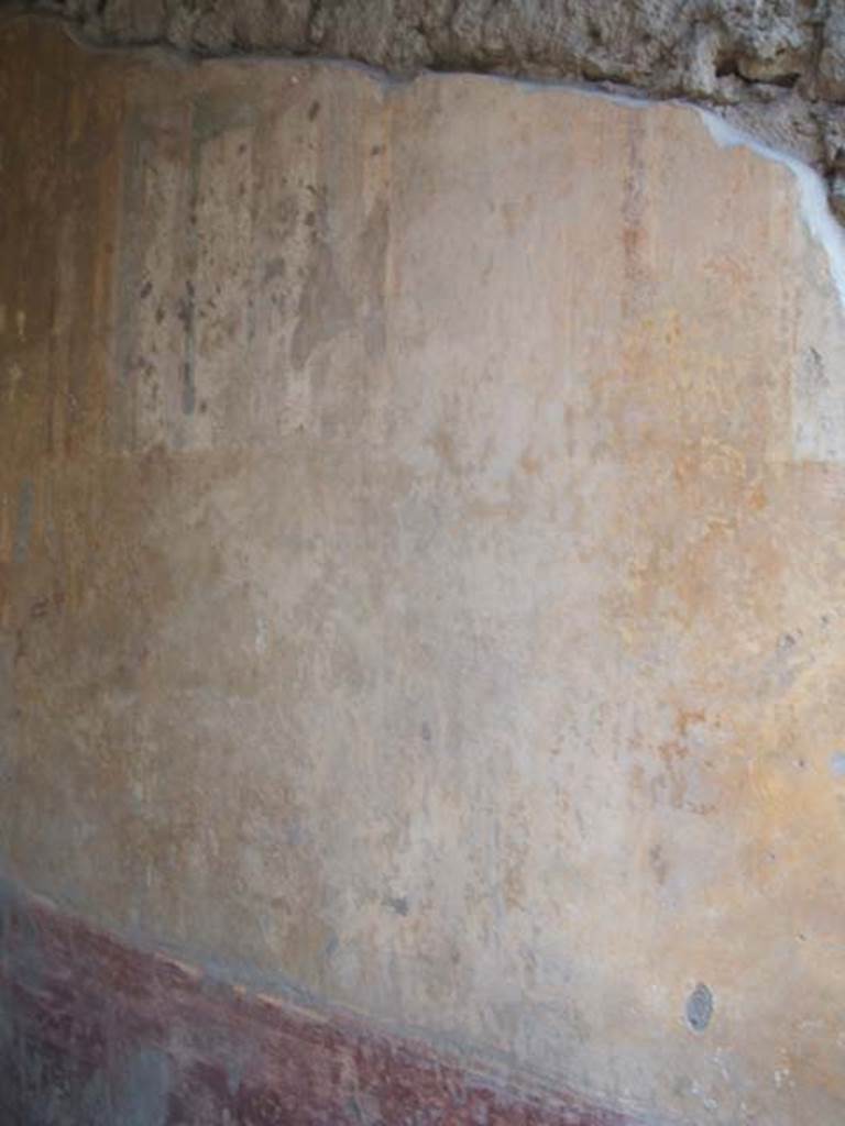 VII.4.48 Pompeii. May 2005. Room 13, detail from north wall of ala. 