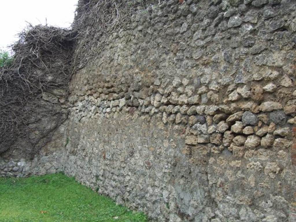 VII.4.55 Pompeii. March 2009.  West wall, with site of stairs to upper floor.