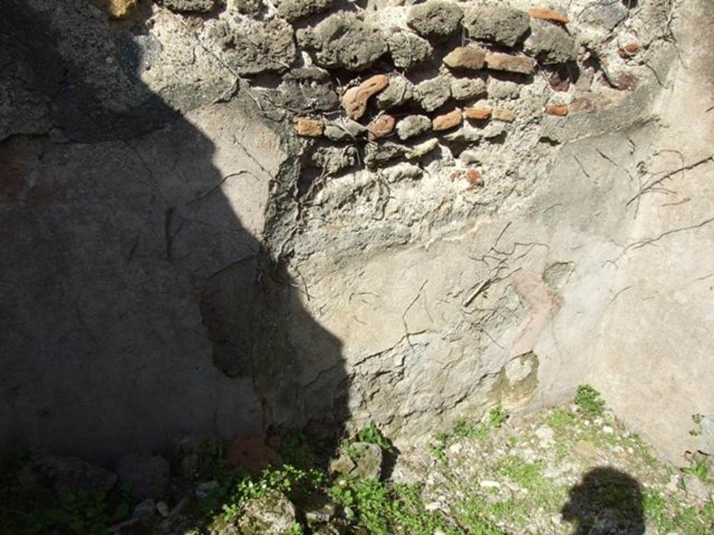 VII.4.56 Pompeii.  March 2009. Room 6.  North wall.