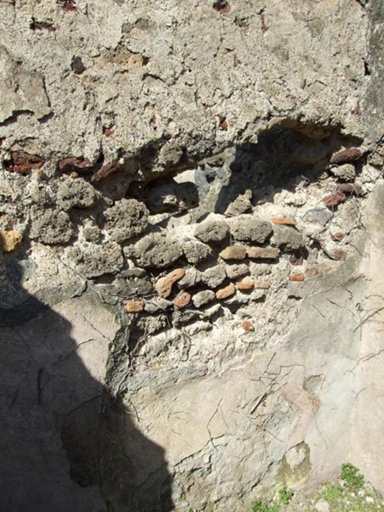 VII.4.56 Pompeii.  March 2009.  Room 6. North wall.