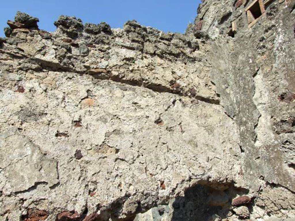 VII.4.56 Pompeii.  March 2009.  Room 6.  North wall and north east corner.