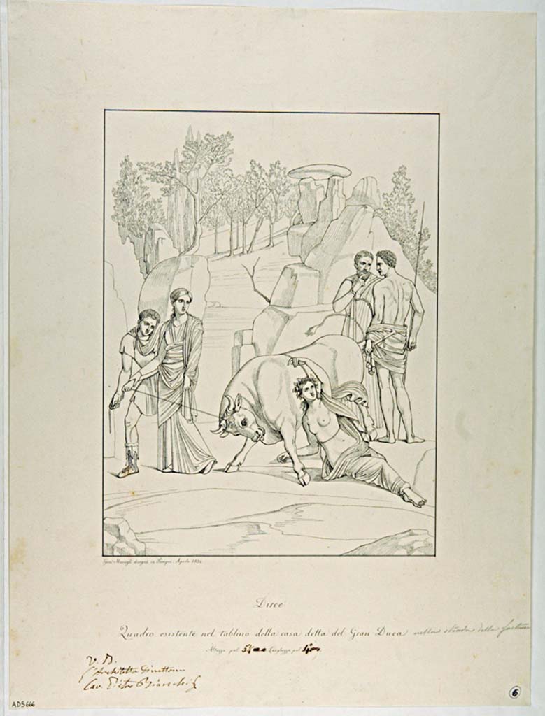 VII.4.56 Pompeii. Drawing by Giuseppe Marsigli, April 1834, of the Punishment of Dirce, from east wall of tablinum. 
Now in Naples Archaeological Museum. Inventory number ADS 666.
Photo  ICCD. http://www.catalogo.beniculturali.it
Utilizzabili alle condizioni della licenza Attribuzione - Non commerciale - Condividi allo stesso modo 2.5 Italia (CC BY-NC-SA 2.5 IT)
See Helbig, W., 1868. Wandgemlde der vom Vesuv verschtteten Stdte Campaniens. Leipzig: Breitkopf und Hrtel. (1551).
