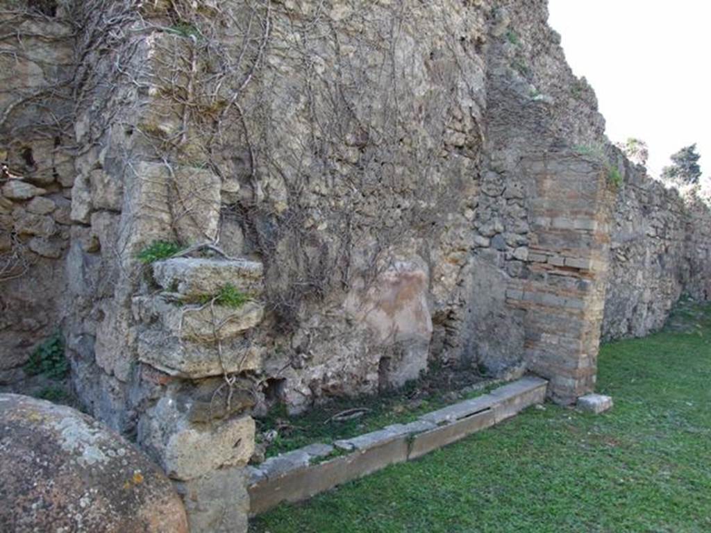 VII.4.56 Pompeii.  March 2009.   Room 9. Tablinum.  West wall.