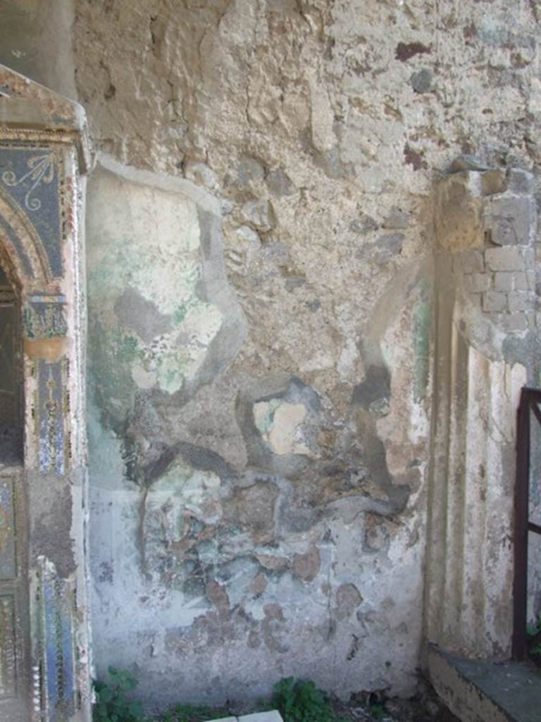 VII.4.56 Pompeii.  March 2009.   South wall of Garden area, west of Fountain. Remains of garden painting.