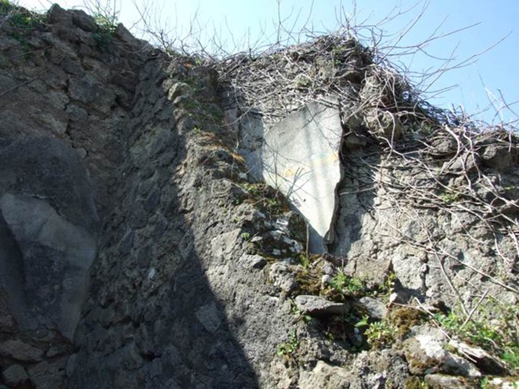 VII.4.57. Pompeii.  March 2009.  Room 11.  Cubiculum. North wall, with remains of plaster in between the two walls.