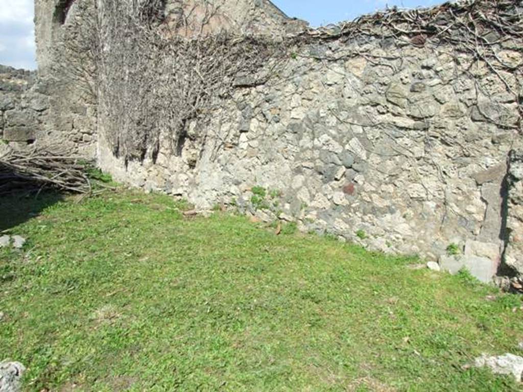 VII.4.57. Pompeii.  March 2009.  Room 17 and 18.  East wall.
