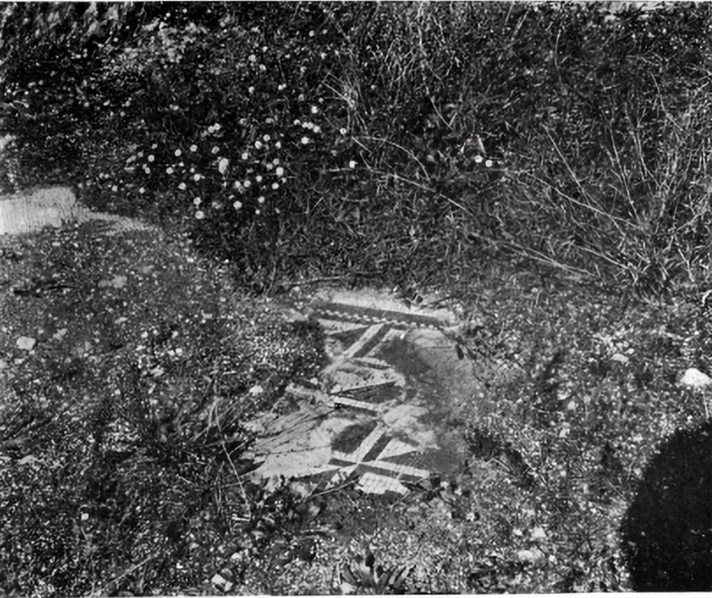 VII.4.62, Pompeii. c.1930. Flooring, according to Blake, showing the extent that vegetation would have been a contributing cause to the destruction of this patterned mosaics.
See Blake, M., (1930). The pavements of the Roman Buildings of the Republic and Early Empire. Rome, MAAR, 8, (p.12, ftn 7, p.81 & pl.1, tav.2)
