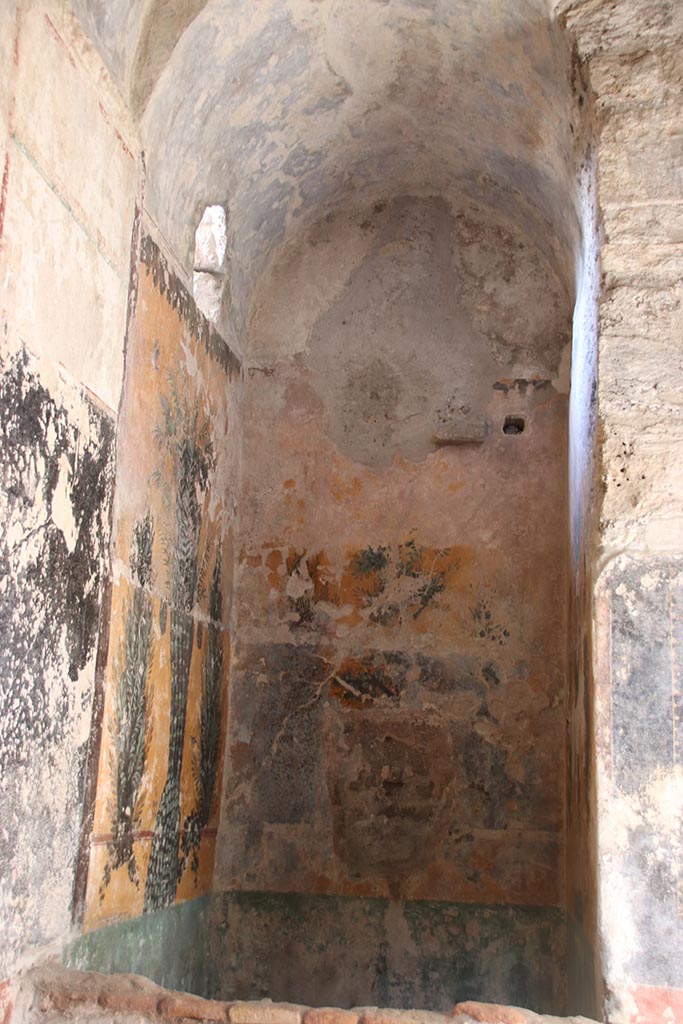 VII.5.8 Pompeii. October 2024.
Frigidarium 48, looking north from Apodyterium/changing room 46. Photo courtesy of Klaus Heese.
The restoration of the walls of this small basin, almost entirely covered by concretions, revealed for the first time the splendid decoration with plant elements and birds on a yellow background and teal green lower wall base.
See PAP E-Journal 02 – 8.3.2024, p. 6 fig. 8. Download E-Journal-Terme-femminili-del-Foro.pdf