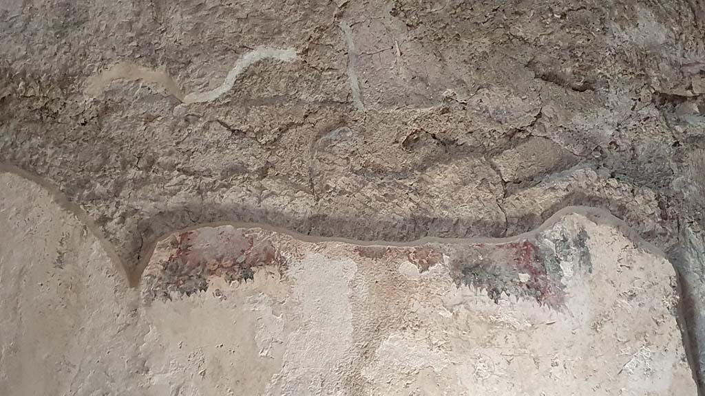 VII.5.24 Pompeii. August 2021. Apodyterium (14), detail of painted decoration from upper west wall in south-west corner.
Foto Annette Haug, ERC Grant 681269 DÉCOR.
