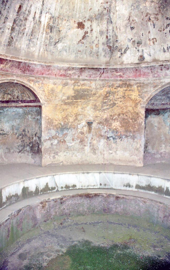 VII.5.24 Pompeii. October 2001.
Frigidarium, remains of painted plaster. Photo courtesy of Peter Woods.