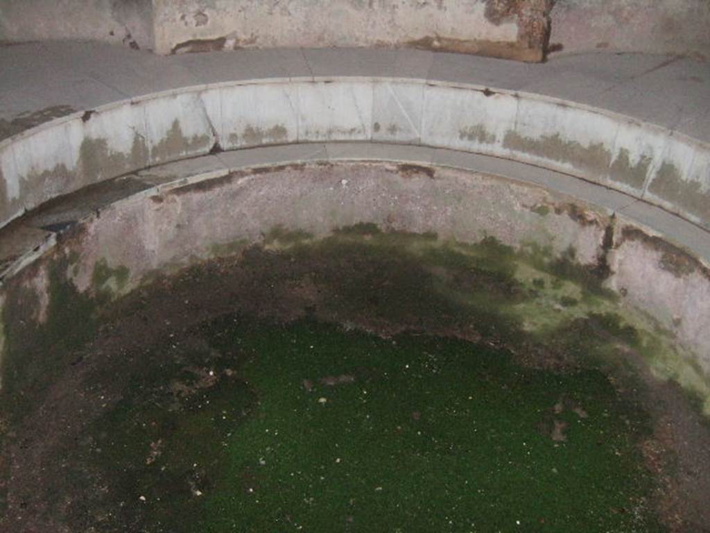VII.5.24 Pompeii. December 2005. Pool in frigidarium (19) with marble steps or seats (21) for bathers..