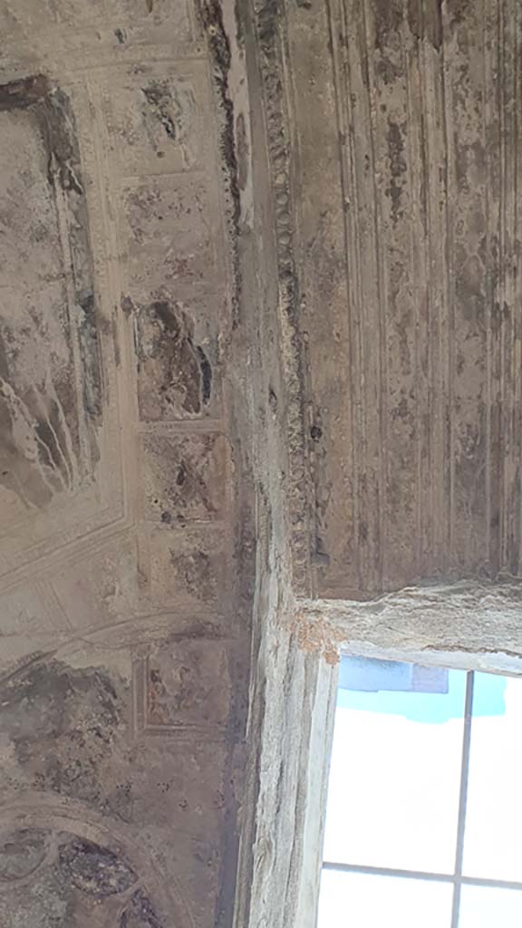 VII.5.24 Pompeii. August 2021. Caldarium (39), upper east side of basin alcove below ceiling stucco.
Foto Annette Haug, ERC Grant 681269 DCOR.
