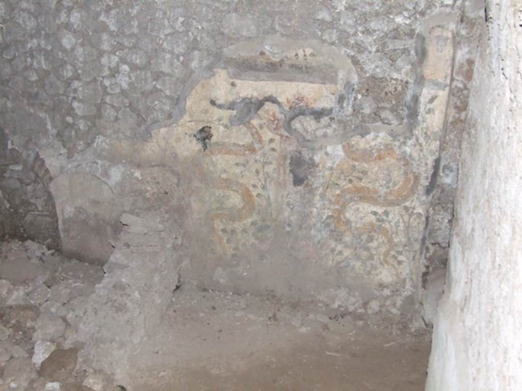 VII.6.3 Pompeii. December 2007. Remains of Lararium wall painting in kitchen g. Two upright serpents either side of a round altar with plants in the background. Above this on the upper part, now lost, was an offering scene. See Frhlich, T., 1991. Lararien und Fassadenbilder in den Vesuvstdten. Mainz: von Zabern. (L87, T: 42,1).