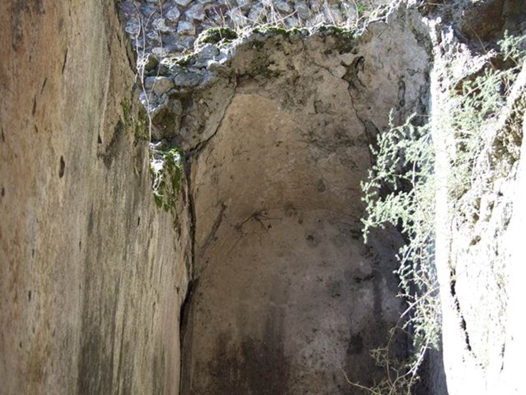 VII.6.17 Pompeii. March 2009. Arched plastered wall and ceiling.