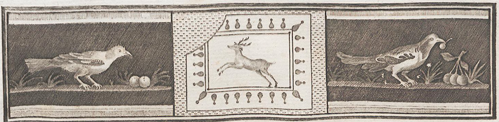 VII.6.28 Pompeii. Found on 30th April 1762. Painting of blackbird left with two cherries and blackbird right with cherry in the beak, branch and three cherries.
Now in Naples Archaeological Museum. Inventory number 8746.
See Antichit di Ercolano: Tomo Quarto: Le Pitture 4, 1765, 20, 95.
