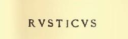 Reported in Notizie degli Scavi, 1911, p.272, were two graffitied inscriptions with names, read by Della Corte, and found traced on the middle column of the west portico.
1.