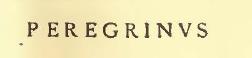 Reported in Notizie degli Scavi, 1911, p.272, were two graffitied inscriptions with names, read by Della Corte, and found traced on the middle column of the west portico.
2.
Interrupted after the fifth letter by a gap in the wall, and continued regularly immediately after the gap.