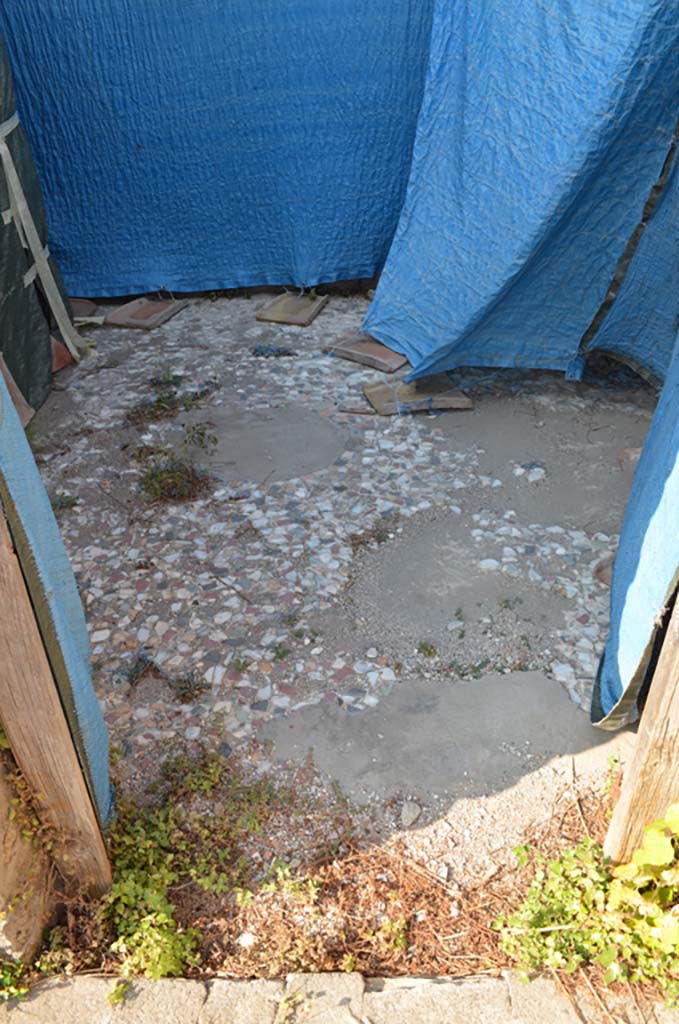 VII 6 38 Pompeii. September 2019. Looking west across flooring in room 29.
Foto Annette Haug, ERC Grant 681269 DÉCOR.